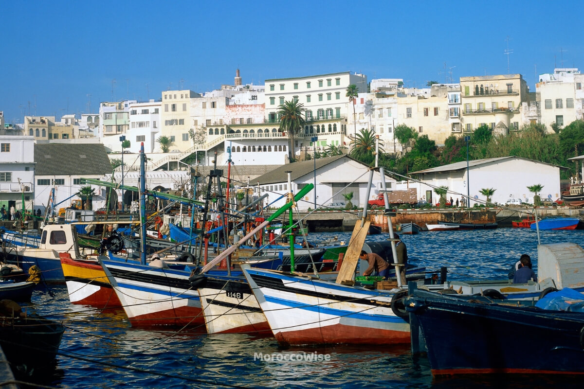 Palm-lined paths along Tangier's waterfront promenade
